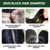 NUEVO TINTE SHAMPOO ANTICANAS DEXE